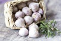 Organic garlic