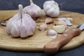 Organic garlic. Fresh garlic cloves and garlic bulb on a wooden cutting board Royalty Free Stock Photo