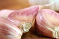 Organic garlic on wooden cutting board