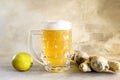 Organic Ginger Ale Soda in a Glass with Lemon and Lime Royalty Free Stock Photo