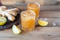 Organic Ginger Ale Soda in a Glass with Lemon and Lime Royalty Free Stock Photo