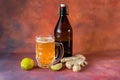 Organic Ginger Ale Soda in a Glass with Lemon and Lime Royalty Free Stock Photo