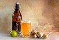 Organic Ginger Ale Soda in a Glass with Lemon and Lime Royalty Free Stock Photo