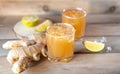 Organic Ginger Ale Soda in a Glass with Lemon and Lime Royalty Free Stock Photo