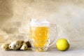 Organic Ginger Ale Soda in a Glass with Lemon and Lime Royalty Free Stock Photo