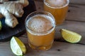 Organic Ginger Ale Soda in a Glass with Lemon and Lime Royalty Free Stock Photo