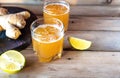 Organic Ginger Ale Soda in a Glass with Lemon and Lime Royalty Free Stock Photo