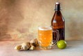 Organic Ginger Ale Soda in a Glass with Lemon and Lime Royalty Free Stock Photo