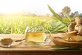 Organic ginger infusion on wooden table in the field front