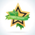 Organic gold star emblem with green leaves