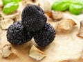 organic gourmet mushroom black truffle