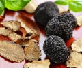 organic gourmet mushroom black truffle Royalty Free Stock Photo