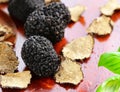 organic gourmet mushroom black truffle Royalty Free Stock Photo