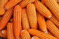 The organic grain yellow corn seed or maize and dry corn cob background.