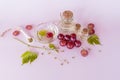 organic grape seed oil in a glass bottle with cork cap, bowl, with grapes on a pink background. facial skin care