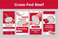 Organic grass fed beef poster with place for text set vector flat ecology highest quality meat