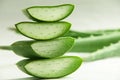 Fresh aloe Vera plant slices .