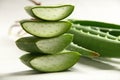 Fresh aloe Vera plant slices .