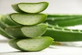 Fresh aloe Vera plant slices .