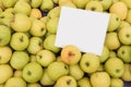 Organic green apple Royalty Free Stock Photo