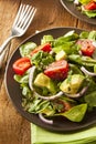 Organic Green Avacado and Tomato Salad