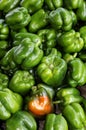 Organic green bell peppers