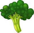 Organic Green Broccoli Cartoon Vector Illustration Isolated Royalty Free Stock Photo