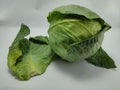 organic green cabbage vegetable Royalty Free Stock Photo