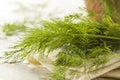 Organic Green Dill Herb