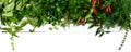 Organic green fresh herbs on a white wooden background. Freshly picked parsley, basil, thyme, arugula, dill. Banner. Free space