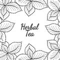 Mint liner, herbal tea