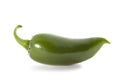 Organic Green Jalapeno Pepper Royalty Free Stock Photo