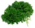 organic green kale leaf vegetable closeup on white background Royalty Free Stock Photo