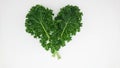 organic green kale leaf vegetable closeup on white background Royalty Free Stock Photo