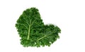 organic green kale leaf vegetable closeup on white background Royalty Free Stock Photo