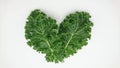 organic green kale leaf vegetable closeup on white background Royalty Free Stock Photo