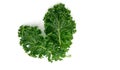 organic green kale leaf vegetable closeup on white background Royalty Free Stock Photo