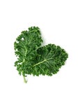 organic green kale leaf vegetable closeup on white background Royalty Free Stock Photo