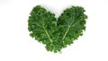 organic green kale leaf vegetable closeup on white background Royalty Free Stock Photo