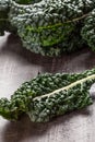 Organic green lacinato kale