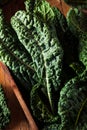 Organic Green Lacinato Kale