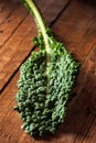 Organic Green Lacinato Kale