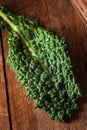 Organic Green Lacinato Kale