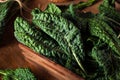 Organic Green Lacinato Kale