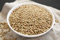 Organic green lentils in a white bowl on a black background, side view. Close-up Royalty Free Stock Photo