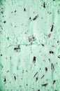 Mint Choc Chip Ice Cream Royalty Free Stock Photo