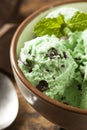 Organic Green Mint Chocolate Chip Ice Cream Royalty Free Stock Photo