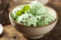 Organic Green Mint Chocolate Chip Ice Cream Royalty Free Stock Photo