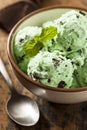 Organic Green Mint Chocolate Chip Ice Cream Royalty Free Stock Photo