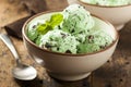 Organic Green Mint Chocolate Chip Ice Cream Royalty Free Stock Photo